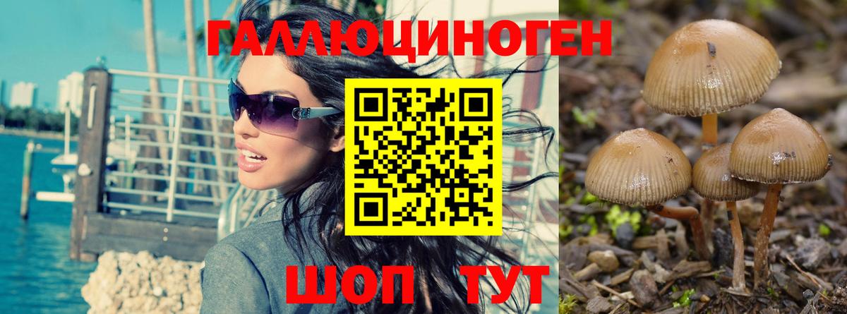 Галлюциногенные грибы мицелий  наркота  Вход с VPN  Вязьма  Псилоцибиновые грибы MAGIC MUSHROOMS 